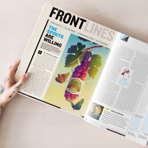 Illustration of a wine bottle and grapes in magazine layout by Luiza Laffitte