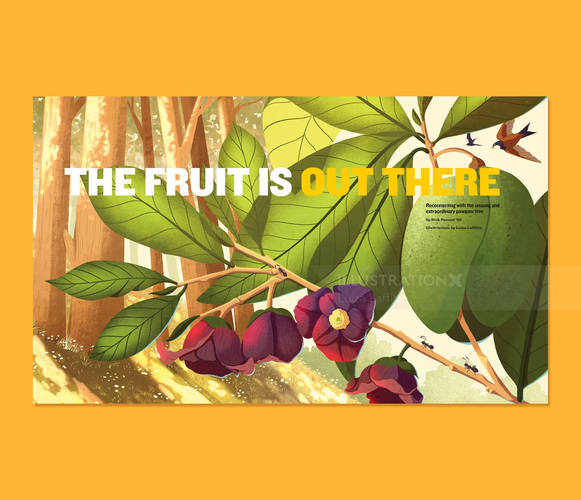 Purple fruit hanging from leafy tree branches in sunlight