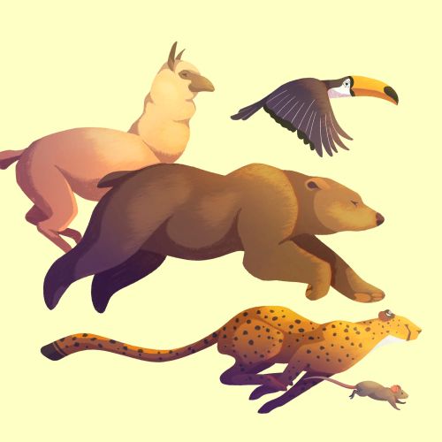 Luiza Laffitte Animaux Illustrator from France