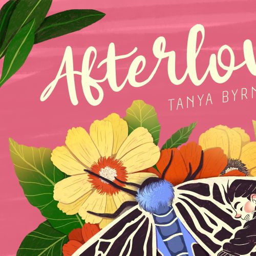 Blue and black butterfly on orange and yellow flowers