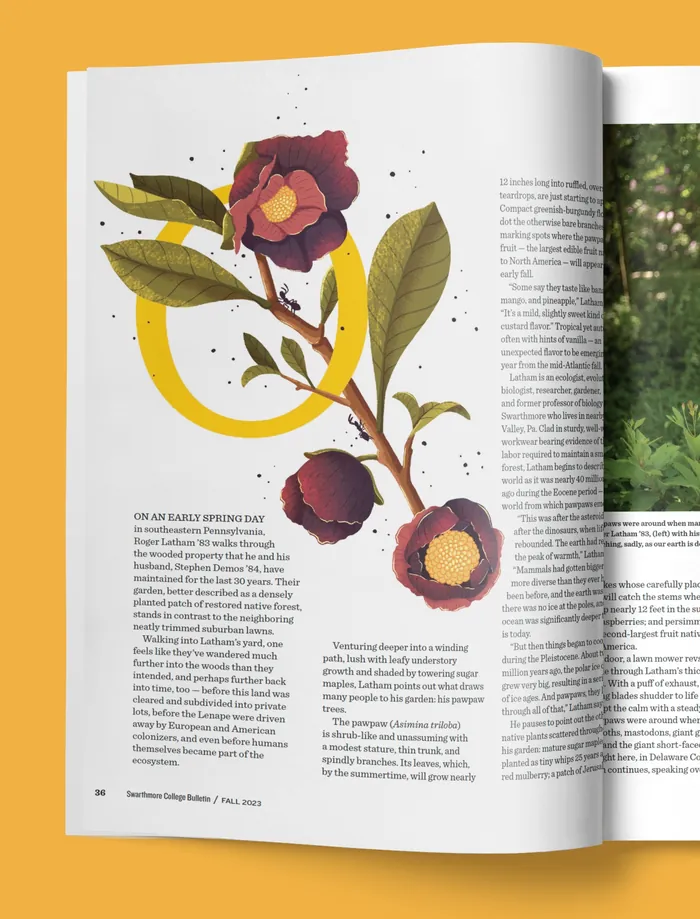 Drawing of flowering plant with yellow and red flowers on open magazine page