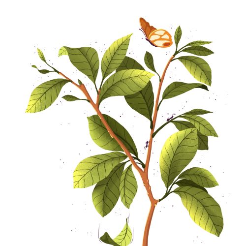 Branch with green leaves and an orange butterfly resting on a leaf