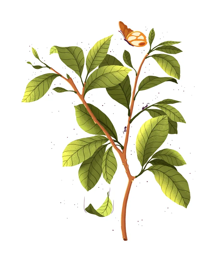 Branch with green leaves and an orange butterfly resting on a leaf