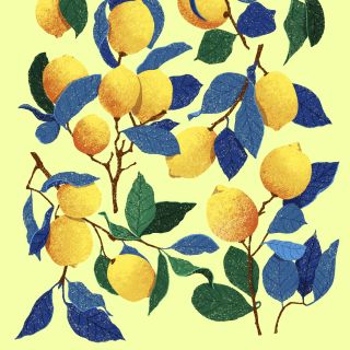 View Luiza Laffitte's illustration portfolio