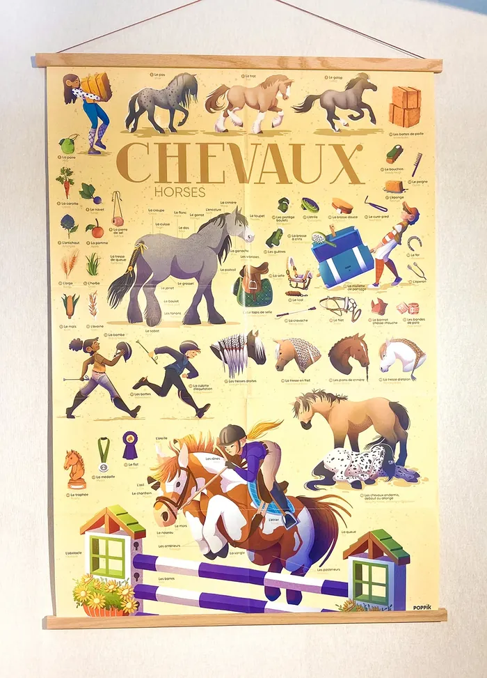 Vintage horse educational poster with illustrations of horses and riding.