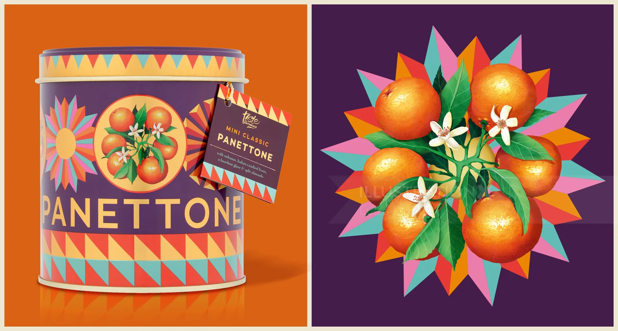 Orange fruit illustration and panettone packaging by Luiza Laffitte
