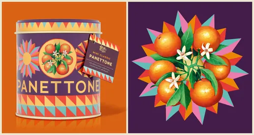 Orange fruit illustration and panettone packaging by Luiza Laffitte