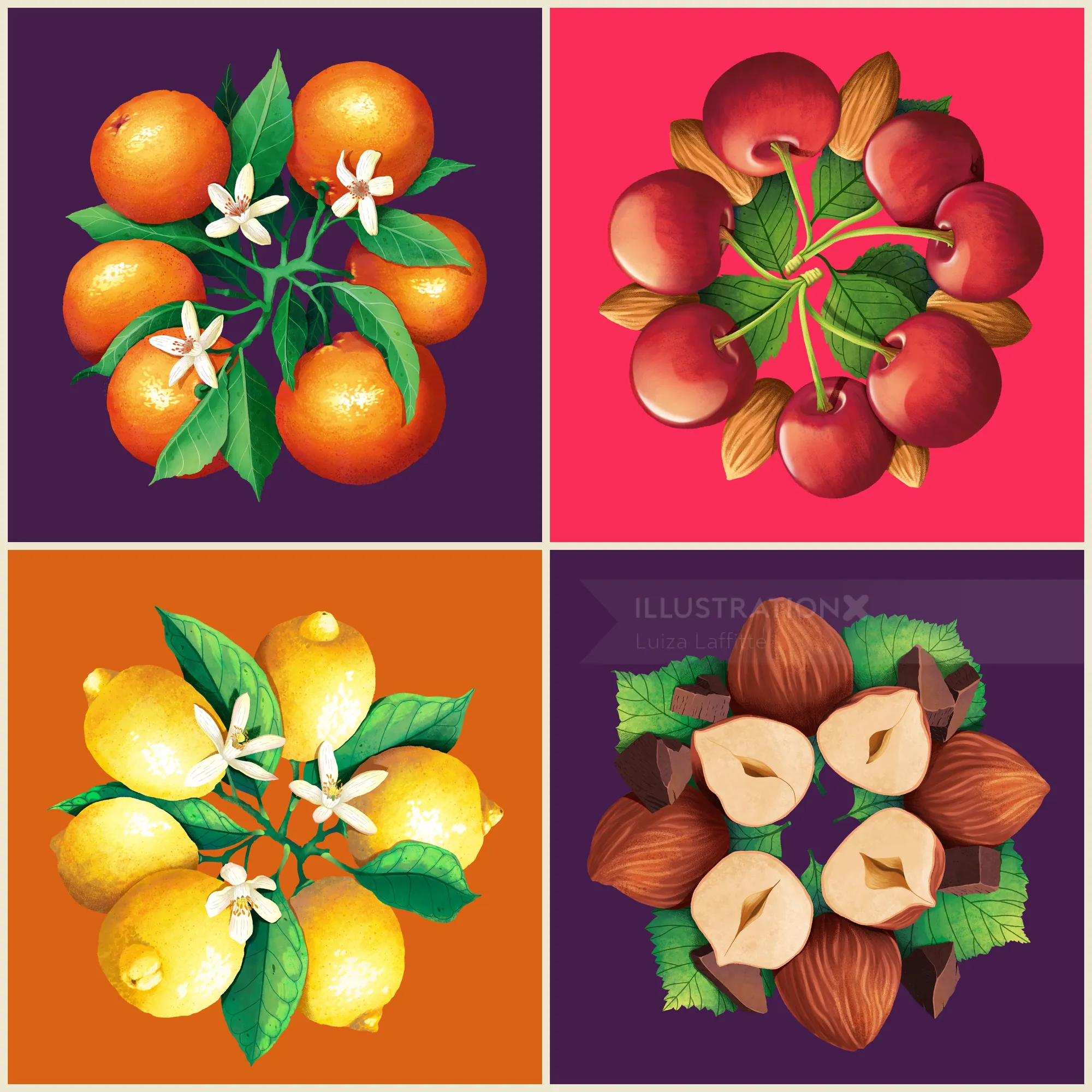 Colorful fruit clusters with leaves and flowers on solid backgrounds by Luiza Laffitte
