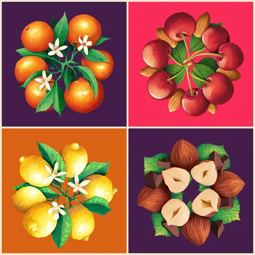 Colorful fruit clusters with leaves and flowers on solid backgrounds by Luiza Laffitte