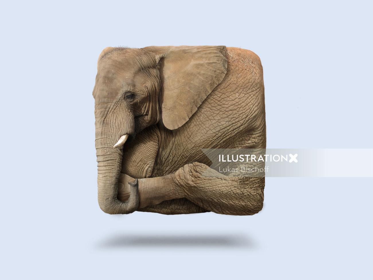 Animal illustration of Elephant
