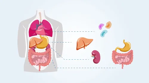 Medical graphic illustration

