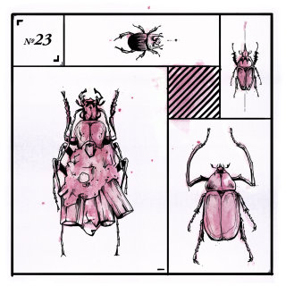 Ilustración animal suelta de insecto.
