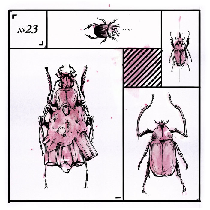 Animal loose illustration of bug
