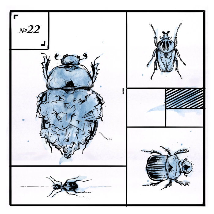 Loose animal illustration of bug
