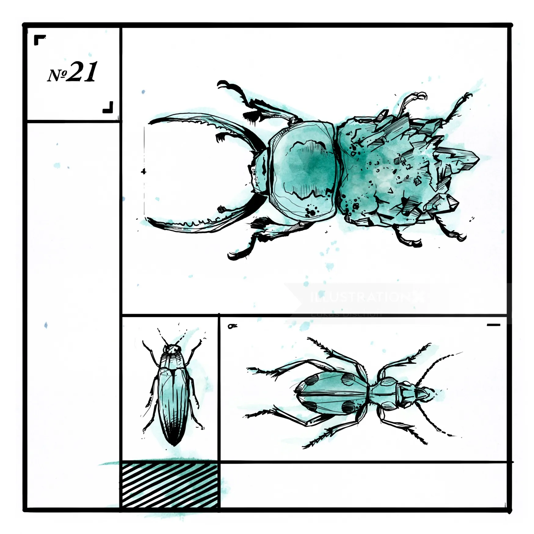 infographic loose illustration of bug
