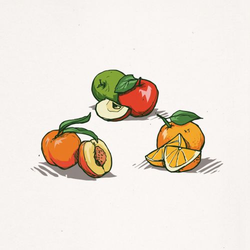 Food & drink illustration of Fruits
