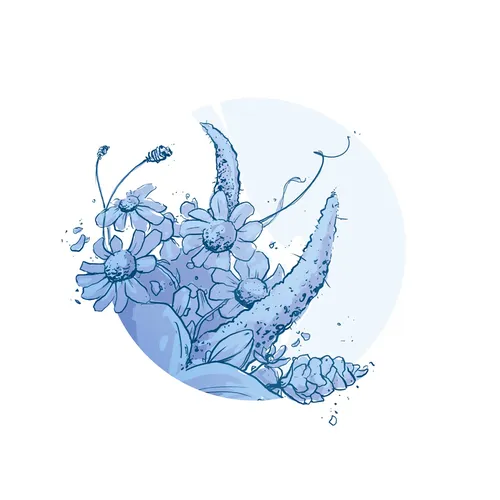 Loose illustration of flowers
