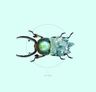 Illustration animale bug vert
