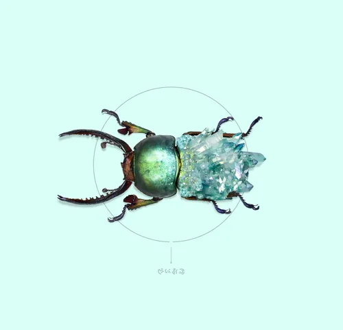 Animal illustration green bug
