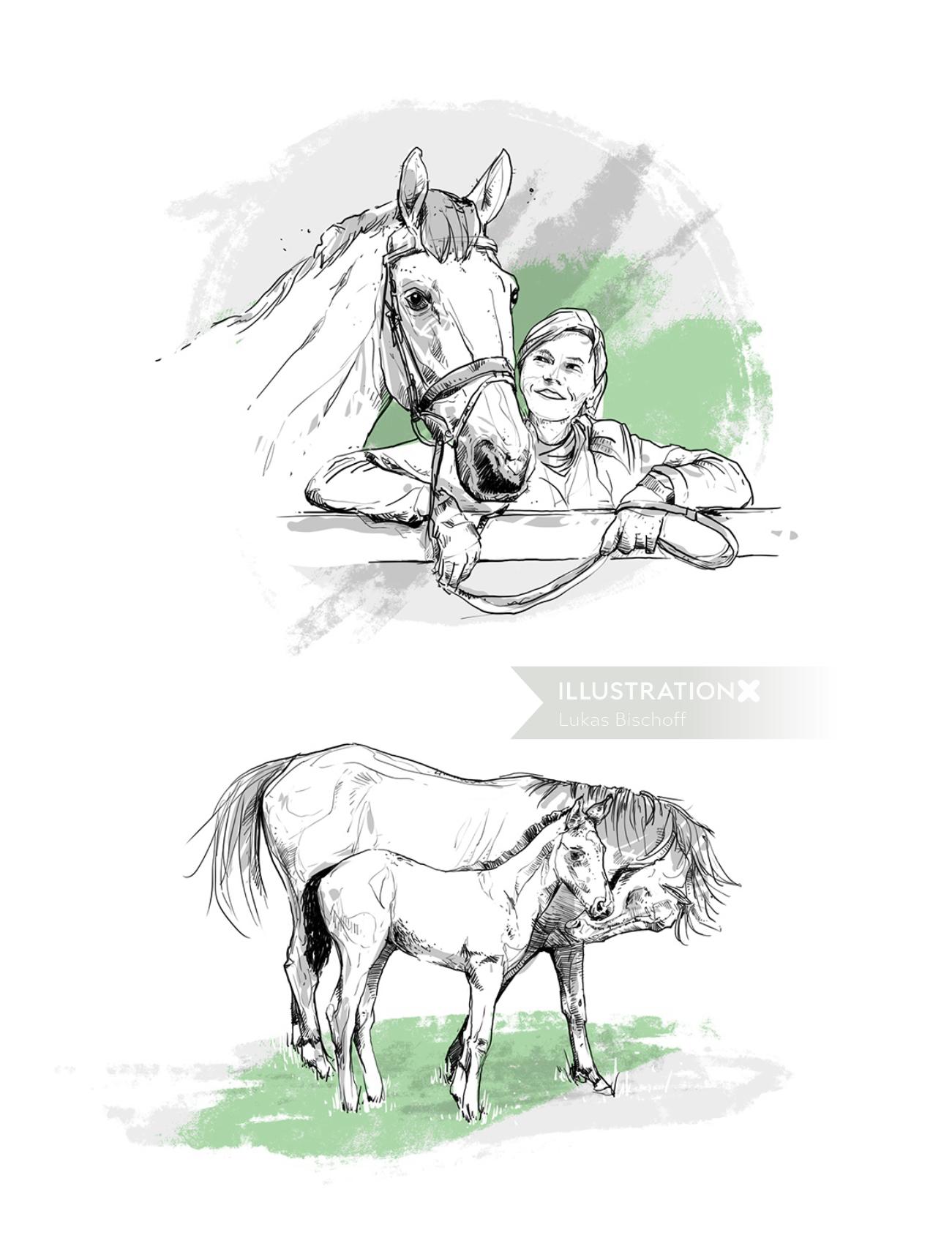 馬と女性の黒と白の線のイラスト