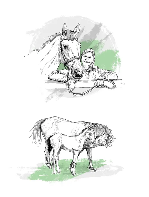 black and white line illustration of horse and woman
