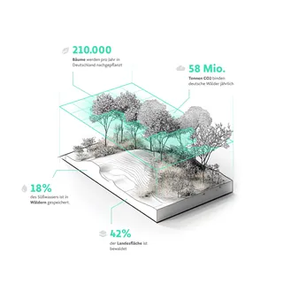 3D infographic of German reforestation statistics with tree and terrain model by Lukas Bischoff