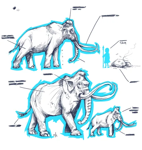 Mammoth anatomy diagram with species and size comparison by Lukas Bischoff