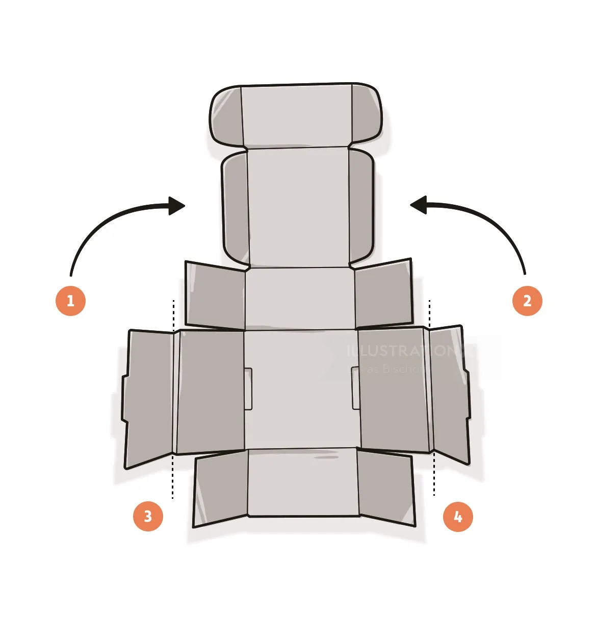 Cardboard box layout with four folding flaps by Lukas Bischoff