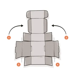 Cardboard box layout with four folding flaps by Lukas Bischoff