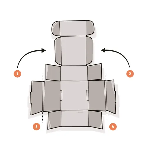 Cardboard box layout with four folding flaps by Lukas Bischoff