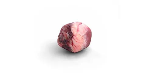 3d medical illustration
