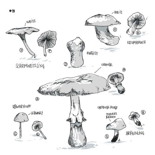 Black and white illustration of mushrooms
