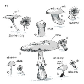 Ilustração em preto e branco de cogumelos
