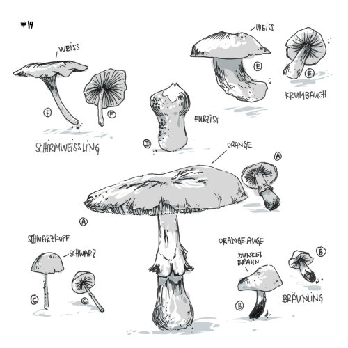 Illustration en noir et blanc de champignons