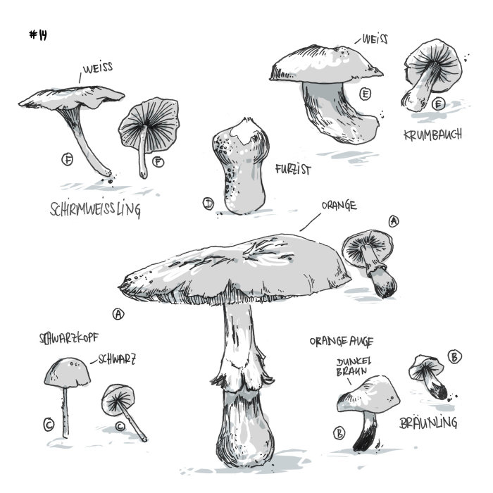 蘑菇的黑白插图