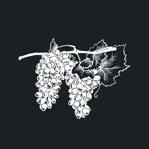 Food & Drink Grapes
