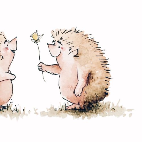 Hedgehog Love Card Design By Luke Scriven