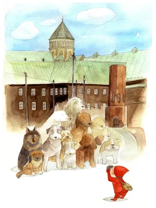 Water colour art of pet dogs for a photo shoot