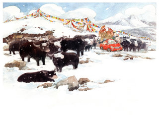 Animales búfalos en la nieve.
