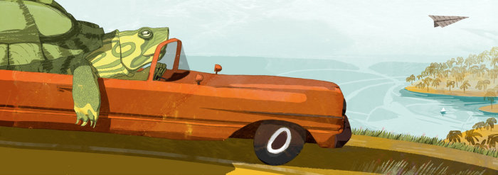 Ilustração de tartaruga dirigindo carro