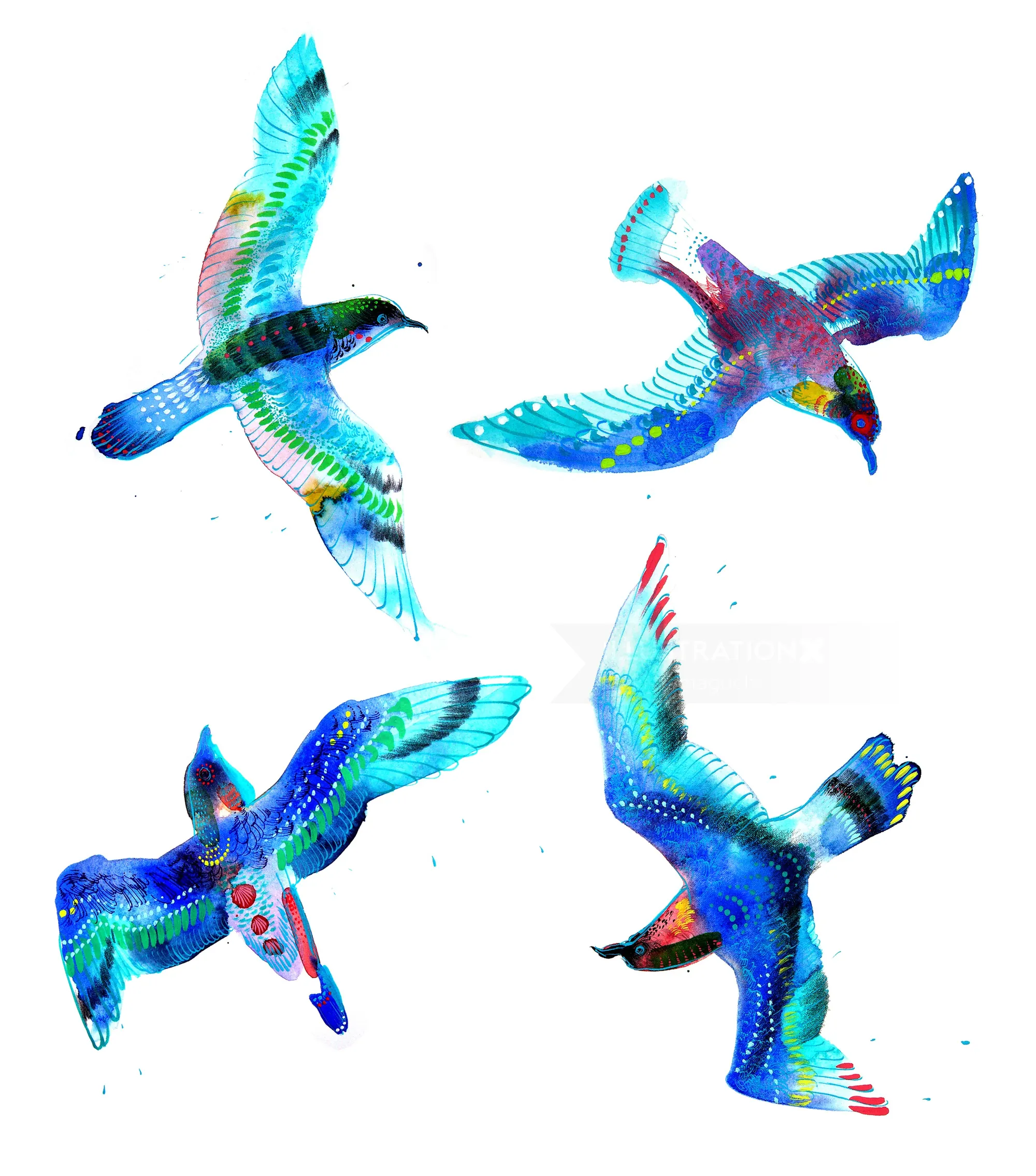 Vibrant blue and multicolored birds flying, artwork by Maki Yamaguchi