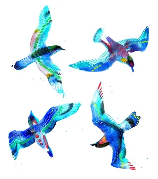 colorful-birds-in-flight.webp