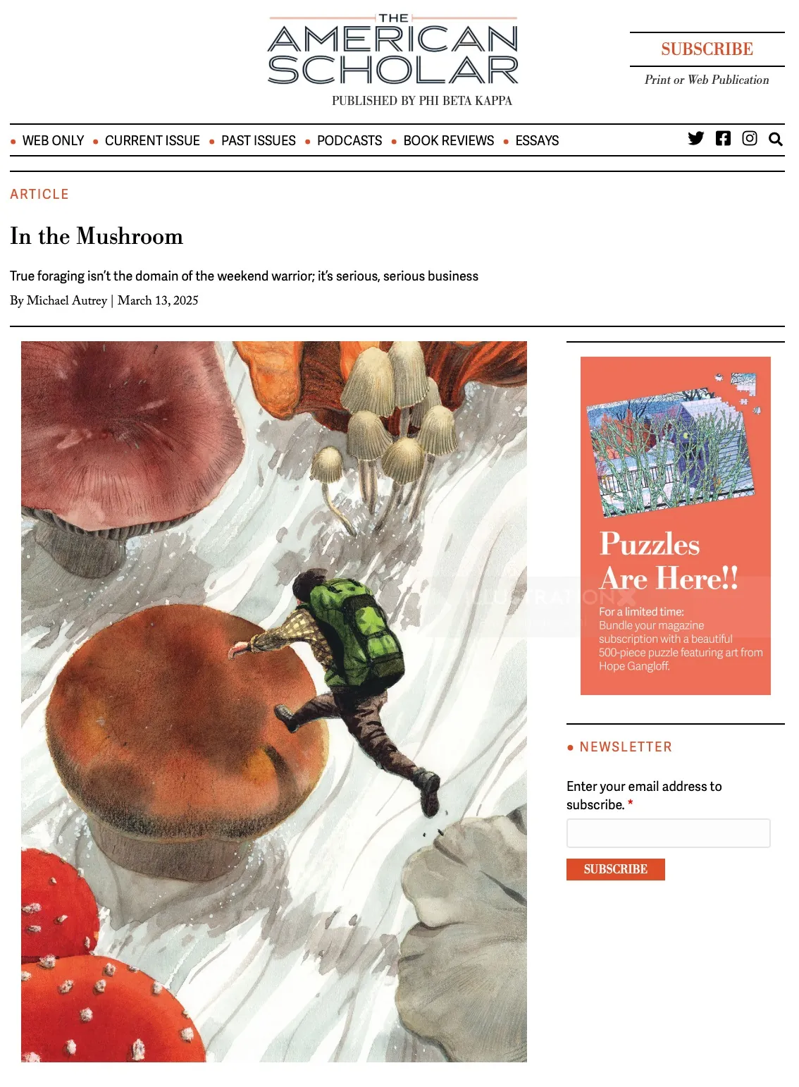 Illustration of mushrooms and caterpillar by Maki Yamaguchi