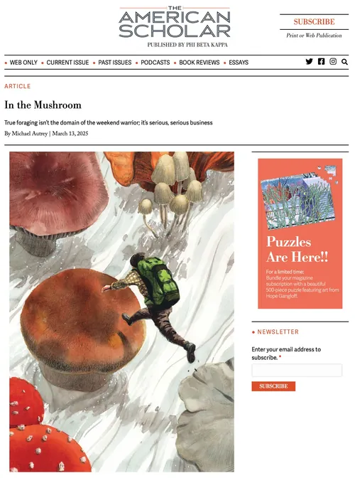 Illustration of mushrooms and caterpillar by Maki Yamaguchi