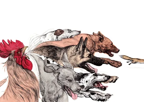 Detailed illustration of a fox, rooster, and dogs from Aesop's fable by Maki Yamaguchi