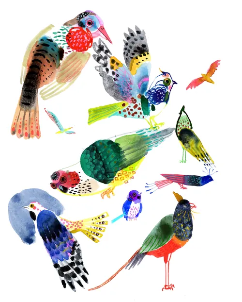 Bright colorful birds in flight by Maki Yamaguchi