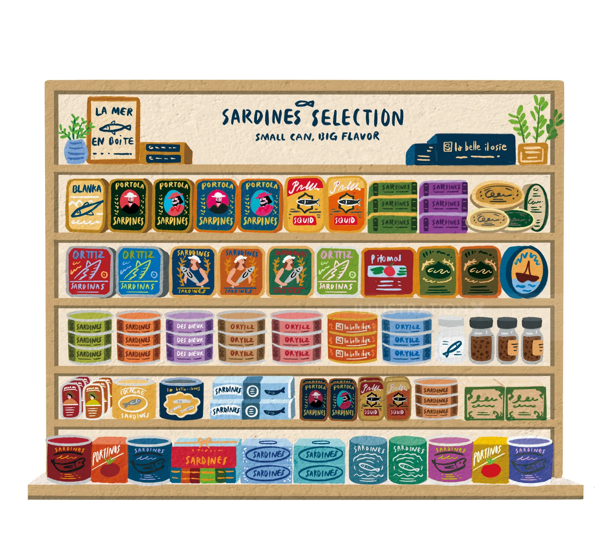 Makoon illustration of colorful sardine tins arranged on store shelves