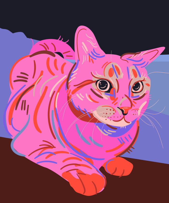Illustration de portrait de chat par Mallory Heyer