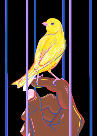 Animaux oiseau jaune
