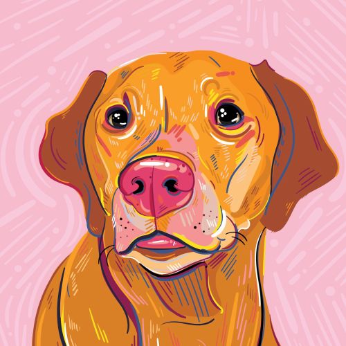 Digital portrait of dog